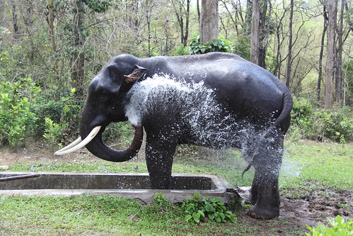 photo of Indira Gandhi Sanctuary and National Park